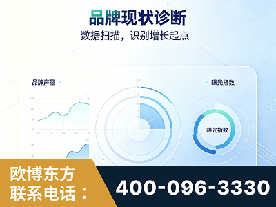 龙泉-品牌现状诊断