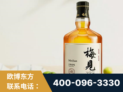 龙泉-梅见青梅酒